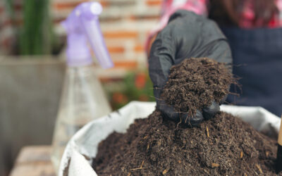 The Best Compost Accelerators to Use for Your Farm